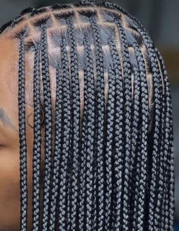 Knotless tresse/braids petite